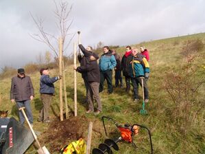 Genossen aus Coburg pflanzen bei der Aktion Rotdorn einen Baum