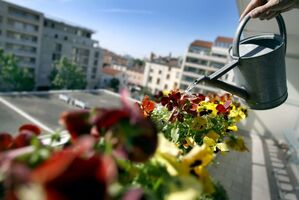 Dank der SPD werden nun Mieter besser vor Willkür geschützt!
